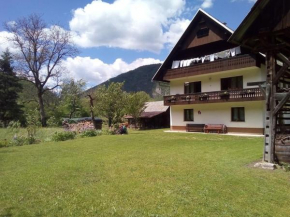 Mountain River apartment